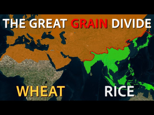 How Eating Wheat vs Rice Shaped EVERYTHING About Us