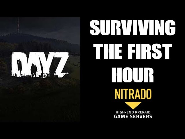 Surviving The First Hour On Our Nitrado Private PS4 DAYZ Server