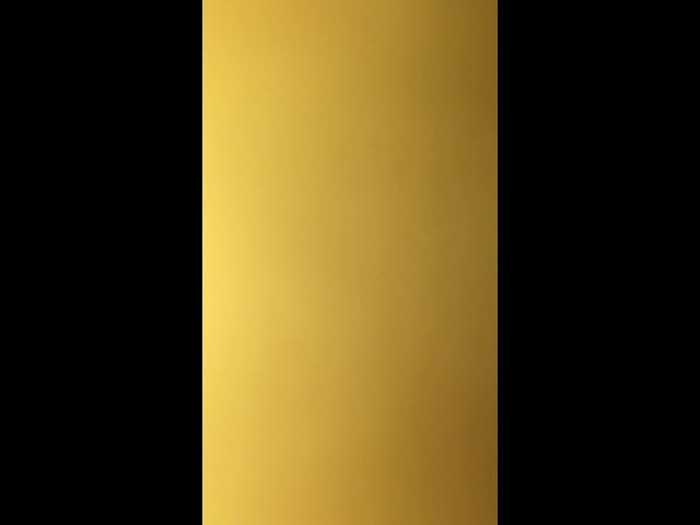 DING DONG