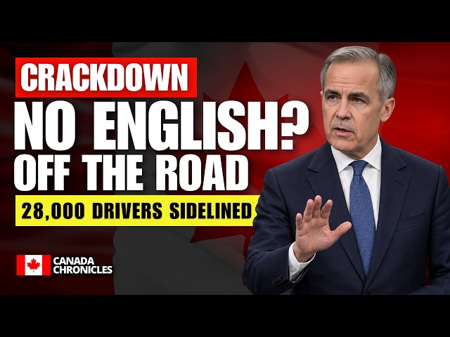 28,000 Drivers Sidelined: Why Canadian Truckers Can Be Pulled Off U.S. Roads │ Canada Trucking News