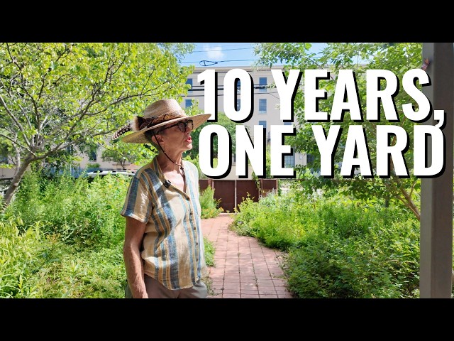10 Years of Native Plant Gardening in San Antonio