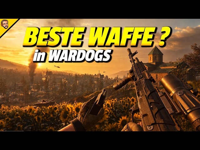 The BEST WEAPON in WarDogs?! META vs. BUDGET Builds