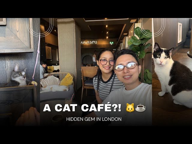 We Visited a Cat Café in London! 🐱☕ | Java Whiskers White City