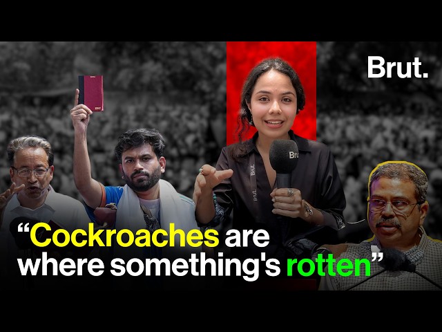 "Cockroaches" went after the Education Minister and we followed them...