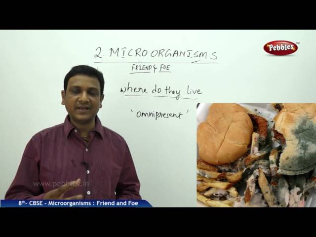 Microorganisms  Friend and Foe | Class 8th Science-Biology | NCERT | CBSE Syllabus | Live Videos