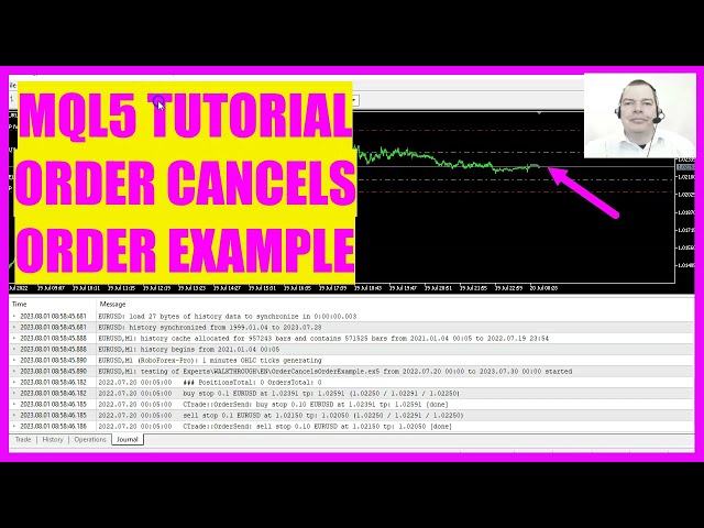 MQL5 TUTORIAL - ORDER CANCELS ORDER (Simple Example)