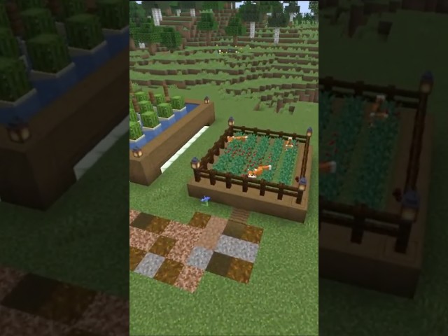 build this berry farm in minecraft #minecraft #tutorial #shorts