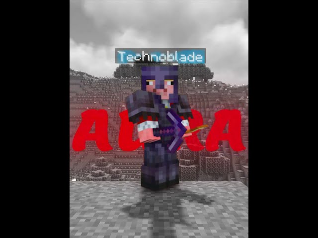 BEST PLAYER OF MINECRAFT 💀
