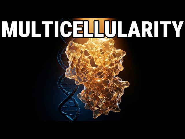 The Evolution of Multicellularity — The Moment Cells Stopped Competing and Started Building You