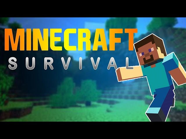 Playing minecraft java edition