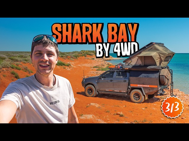Travelling SOLO to the tip of Shark Bay! 4WD PARADISE