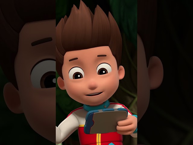 Rubble and Marshall Save The Elephants #PAWPatrolShorts