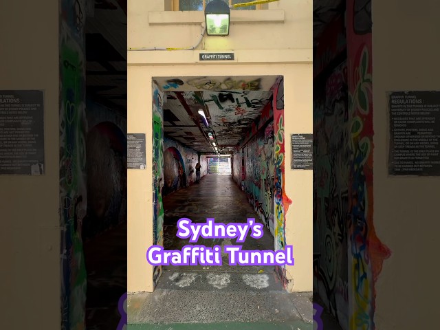 Sydney’s Graffiti Tunnel #shorts #urbanexploration #rock #metal #music #urbex