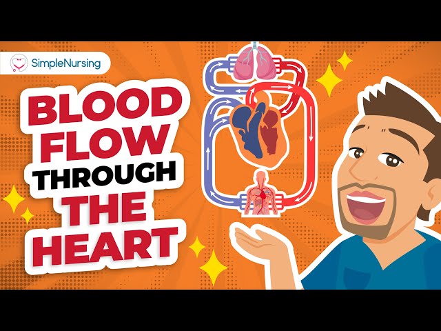 Blood Flow Through the Heart (Made Simple in 10 minutes)