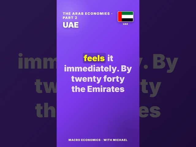 The Arab Economies Explained