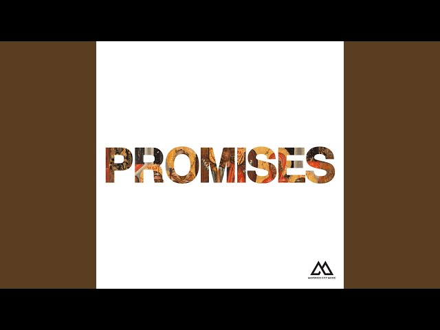 Promises (feat. Naomi Raine) (Radio Version)