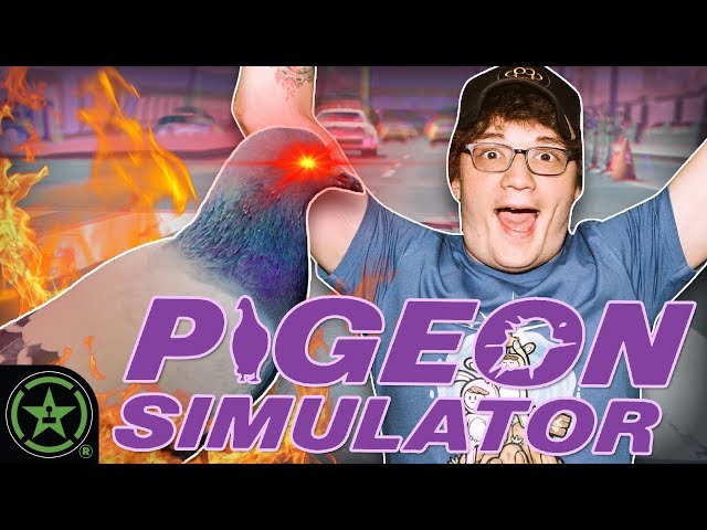Play Pals - We're Pigeon Boys - Pigeon Simulator