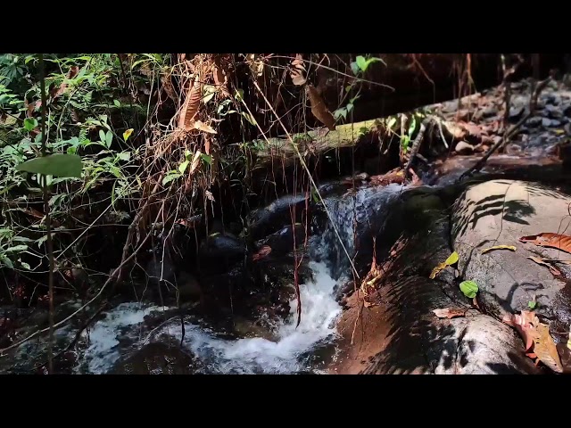 Relaxing Music, Sleep Music, Water Sounds, Meditation Music, Soothing Piano for Inner Calm