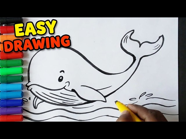Learn How to Draw a Whale Step by Step