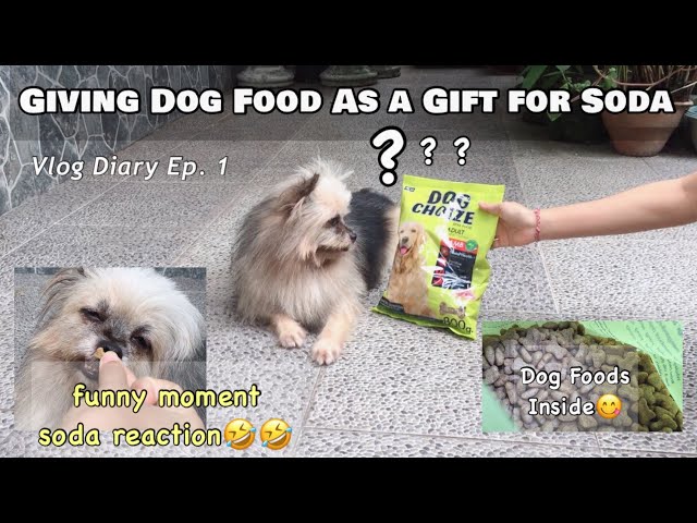 Giving Dog Food As a Gift for Soda || Vlog Diary Gansomi Cam