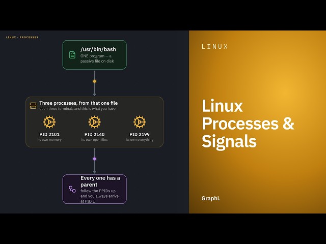 Linux Processes & Signals