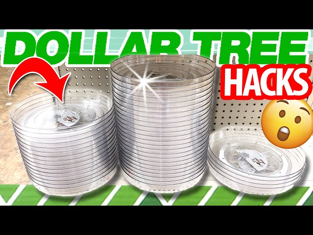 🔥Grab THIS $1 Dollar Tree find for these 15 GENIUS DIYs & HACKS to try in 2026!