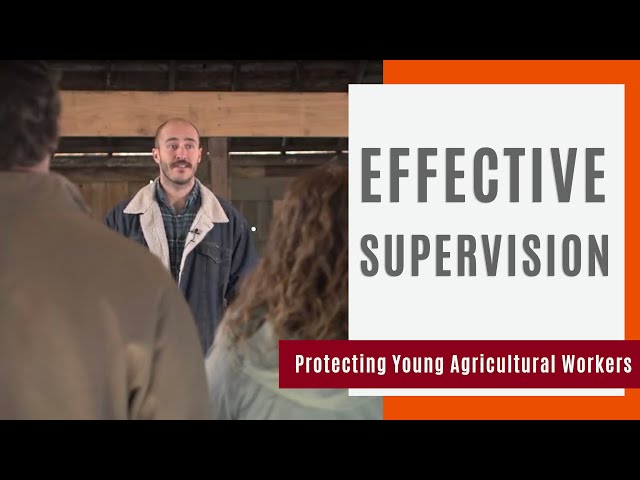 Effective Supervision