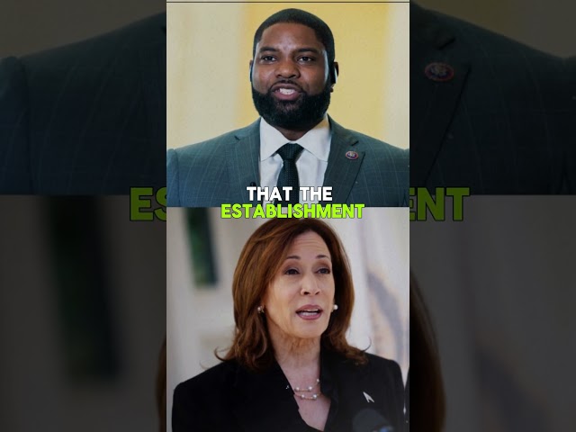 Byron Donalds Just Left Kamala Harris SPEECHLESS! 😱🔇 #Shorts