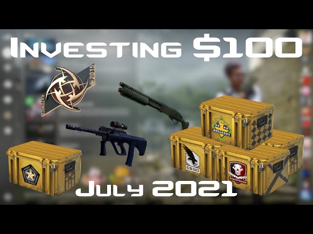 Investing $100 in CS:GO Month 2: July
