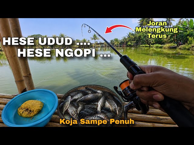 Catching Fish Repeatedly Causes Back Pain...‼️ A Surefire Recipe for Carp Fishing