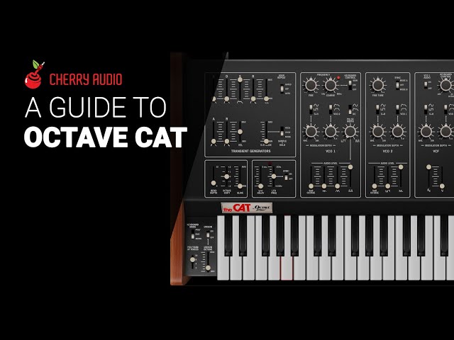 A deep dive to Octave Cat from Cherry audio