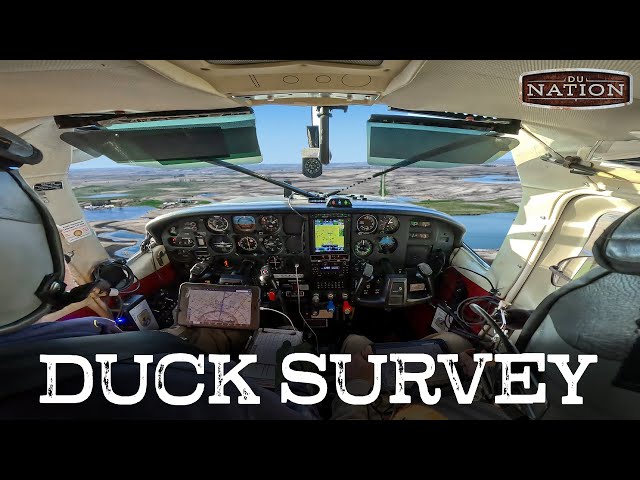Riding Along with the USFWS Waterfowl Breeding Survey | DU Nation