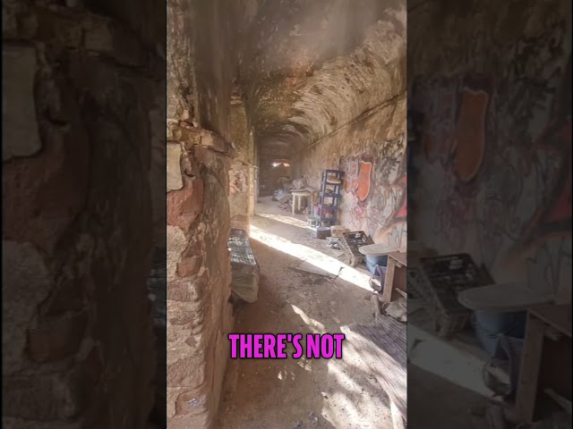 Exploring Abandoned Ruins: The Goblin Heart Quest Begins! #shorts