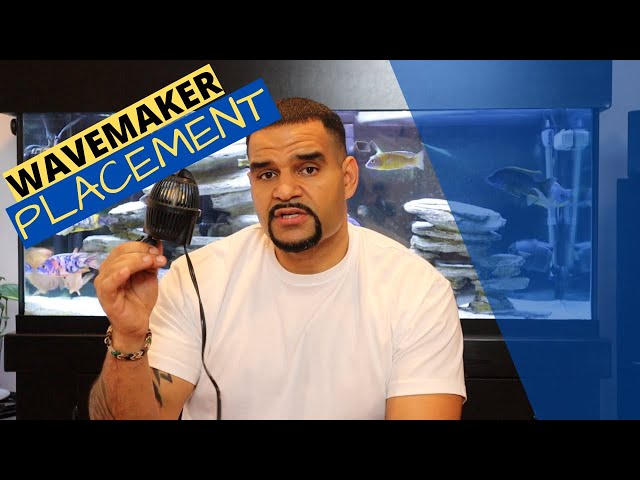 The BEST Wavemaker Placement in Aquarium | Perfect