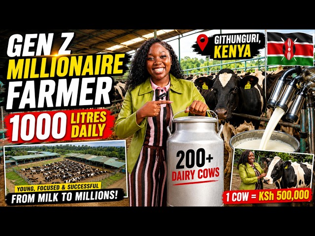 Meet a GenZ Millionaire Girl Runs 200+ Cow Dairy Farm in Kenya Milks 1000L+ Daily & Sells Cows @500K