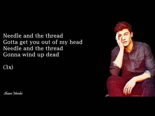Shawn Mendes - Stitches (Lyrics)
