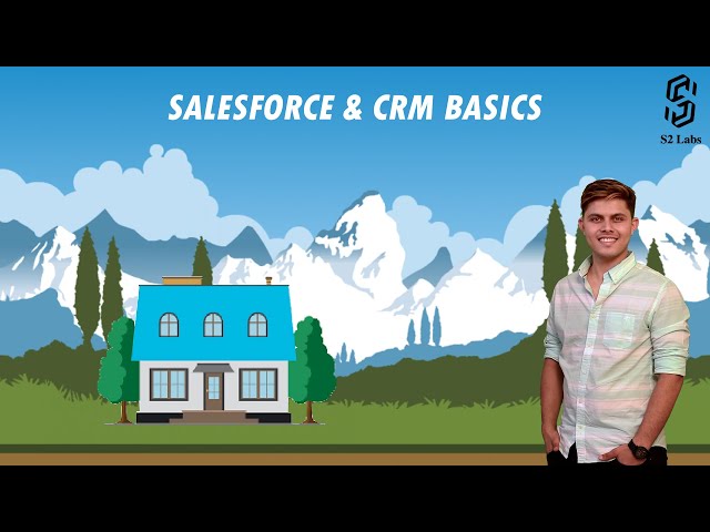 Salesforce & CRM Basics