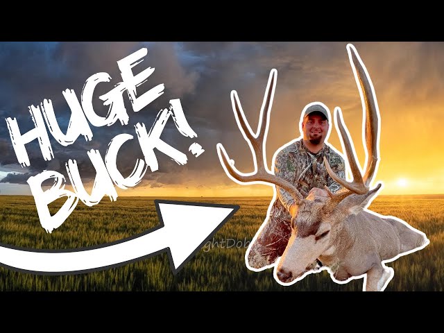 MULE DEER HUNTING With A BOW! (Pope & Young Buck) *Archery Hunting*