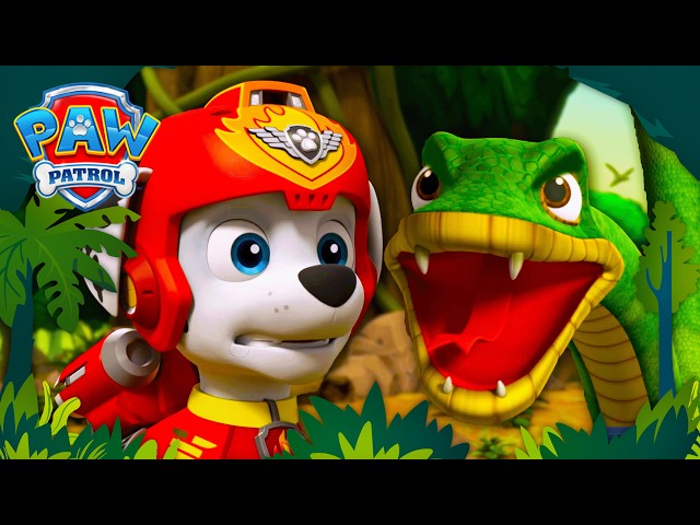 A PAW Patrol Rescue at the North Pole?! 🥶 | PAW Patrol Dino Rescues 🦖