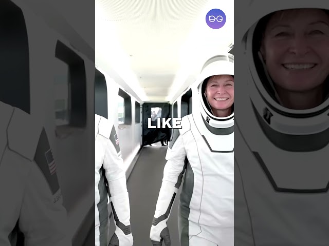 Space X: Sending people to mars part 3! Would you like to live in mars? #tech #spacex #elonmusk