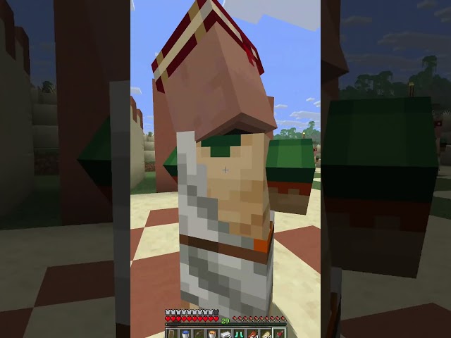 Minecraft Villager Abuse