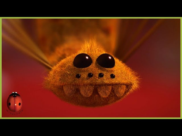 The Magic Fly | Minuscule