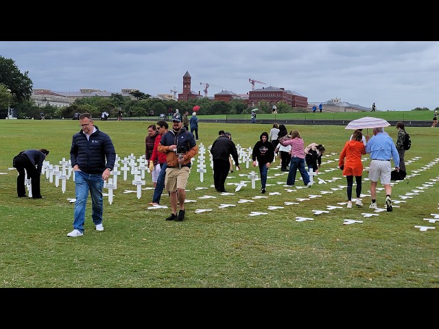 Final Day at the White Cross Project