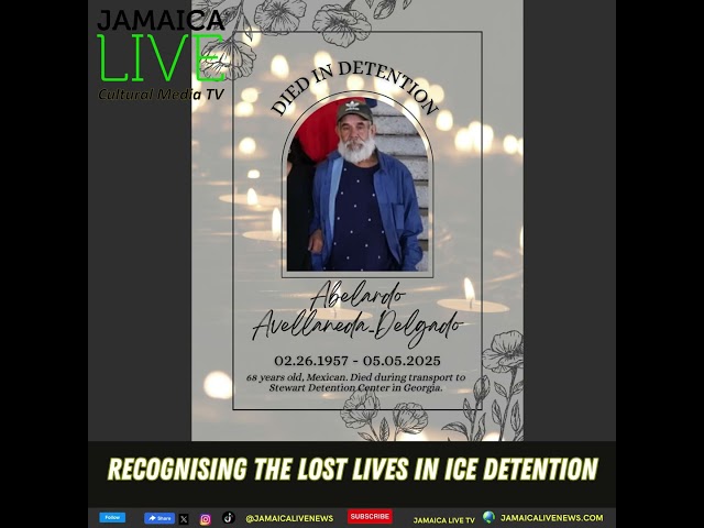 12 people confirmed dead in ICE detention
