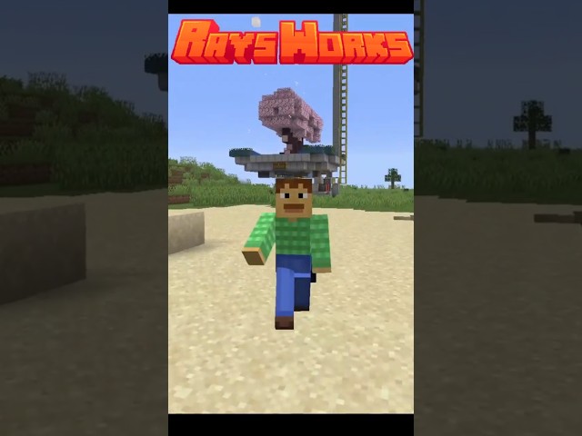 Is this the BEST Farm in Minecraft?