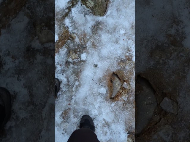 Ice Physics