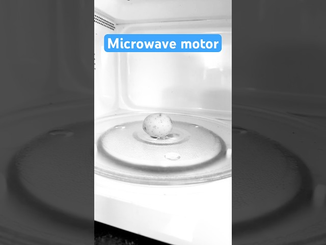 I bet you didn’t know this about your microwave 🤓