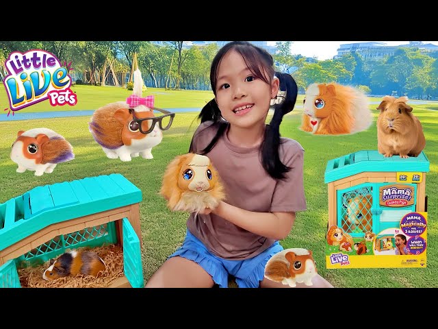 Mainan Bisa Melahirkan? Mama Surprise Little Live Pets Guinea Pig Hamster Binatang