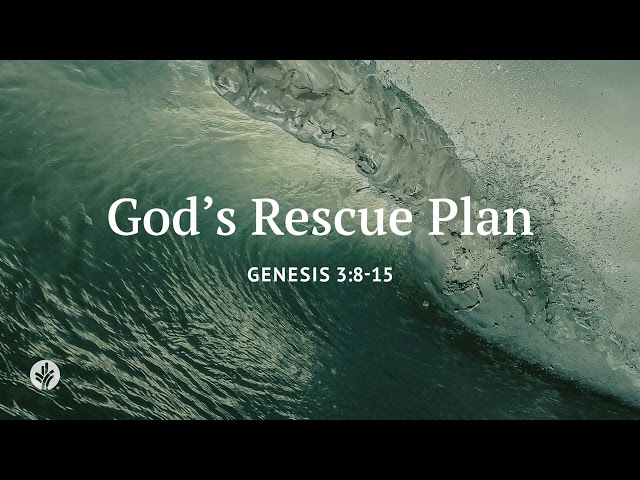 God's Rescue Plan | Our Daily Bread | Daily Devotional