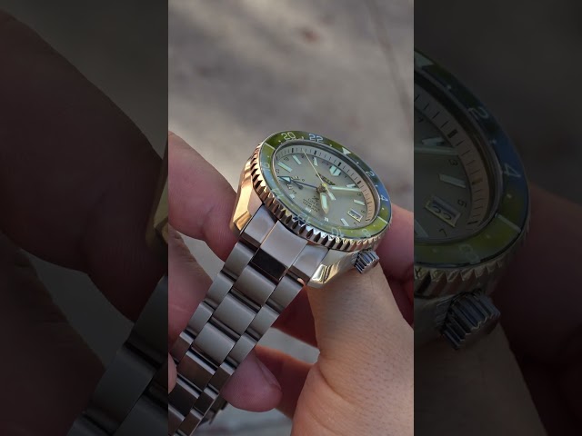 Feeling the urge to change up the watch collection